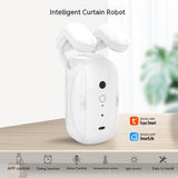 Wifi Curtain Robot Smart Home Roman Rod Electric Curtain Companion